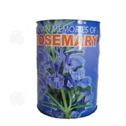 INN Rosemary Seeds Kreativa frölådor Minikrukväxter Burkfrön 9x6,5 cm Bordsförpackade fröplantor Ornament