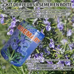 INN Rosemary Seeds Kreativa frölådor Minikrukväxter Burkfrön 9x6,5 cm Bordsförpackade fröplantor Ornament