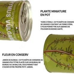 INN Seeds Timjan Frölådor Creative Mini krukväxter Burk frön 9x6,5 cm Bur Boxed Plant Plant Kit