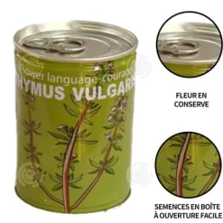 INN Seeds Timjan Frölådor Creative Mini krukväxter Burk frön 9x6,5 cm Bur Boxed Plant Plant Kit