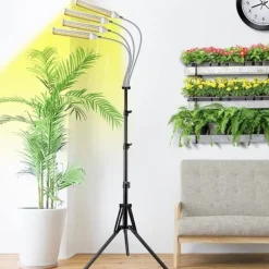 Inomhusväxt växer lätt med 4 huvuden, flexibel svanhals. 10 nivåer, 3 lägen