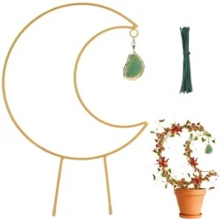 Iron Flower Ram Plant Climbing Vine Moon Bracket Plant Trellis