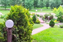 Jord för barrträd med gödselmedel PSB 50 l