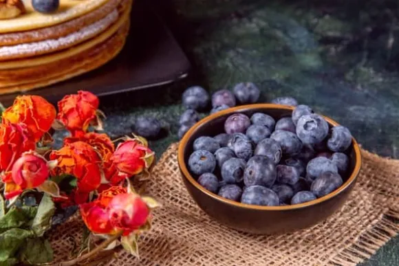 Jord för blåbär och syraälskande växter 50 l