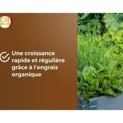 Jord för grönsaker och örter - BROWN GOLD - OBRTARO6U - 6L - Snabbväxt