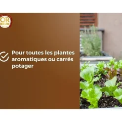 Jord för grönsaker och örter - BROWN GOLD - OBRTARO6U - 6L - Snabbväxt