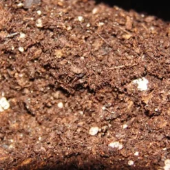 Jord för köttätande växter - köttätande jord