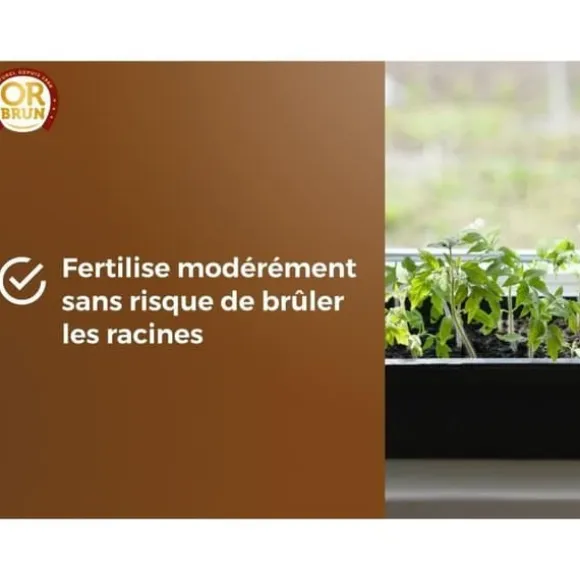 Jord för Sådd - OR BRUN - OBRTSEM6U - 6L - Förbättrar Dräneringen - Optimal VattenRetention