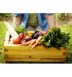 Jord för sådd av frön, grundning av plantor med kokosfiber 40L PREMIUM