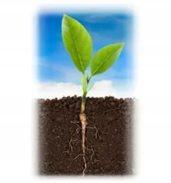 Jord för sådd av frön, grundning av plantor med kokosfiber 40L PREMIUM