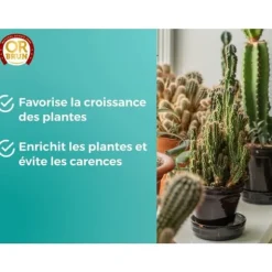 Kaktus- och saftiga växter gödsel - GULD BRUN - OBRECLCACTUS250 - 250 ml - Berikar växterna - Tillverkat i Frankrike