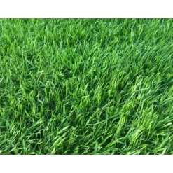 KALCIUM-MAGNESIUMGÖDNINGSMEDEL DOLOMIT BIOVITA 5 KG