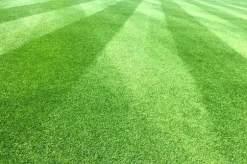 KALCIUM-MAGNESIUMGÖDNINGSMEDEL DOLOMIT BIOVITA 5 KG