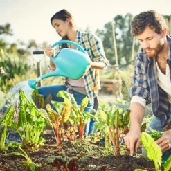 Kaliumsulfatgödselgranulat Trädgårdsstart 5kg