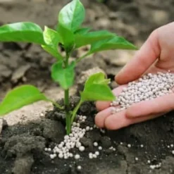 Kaliumsulfatgödselgranulat Trädgårdsstart 5kg