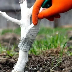 Kalk för att vittja träd och buskar Trädgårdsstart 2kg