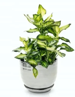 Keramisk blomkruka med stativ 13 cm silver