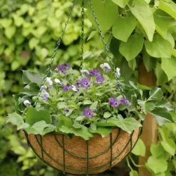 Kinzo Garden Hägnande kokoskruka