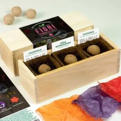 KIT FÖR SJÄLVODLING AV ÄTBARA BLOMMAR (KALENDULA, VIOLA VITTROCKIANA OCH NASTURTIUM)