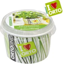 KIT ORTOLINO GRÖNMAJG PREZZEMOLO VERDEMAX TRÄDGÅRD FRÖ I KÖKET GÖR DET SJÄLV BÄRBAR