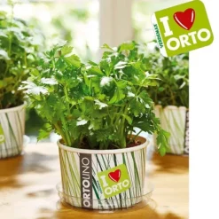 KIT ORTOLINO GRÖNMAJG PREZZEMOLO VERDEMAX TRÄDGÅRD FRÖ I KÖKET GÖR DET SJÄLV BÄRBAR
