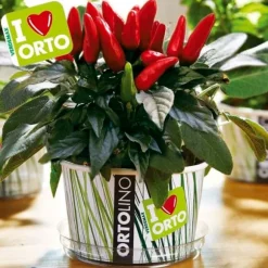 KIT ORTOLINO RÖDA CHILI VERDEMAX TRÄDGÅRD FRÖ I KÖKET GÖR DET SJÄLV PORTABELT