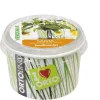KIT ORTOLINO SALVIA VERDEMAX ORTO SEMEN I KÖKET GÖR DET SJÄLV BÄRBAR