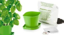 Köksprodukt SENSE färg grön tescoma