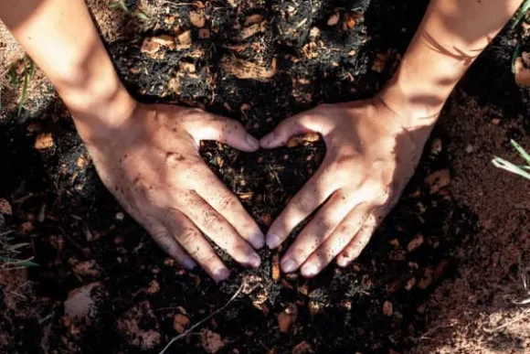 Kokosfiberchips Lösa kokoschips KOKOSTORV 10 MM 20L