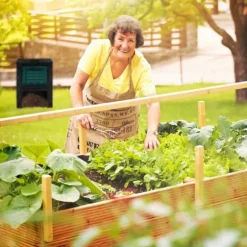 Kompostbehållare, 80x60x57 cm, Svart