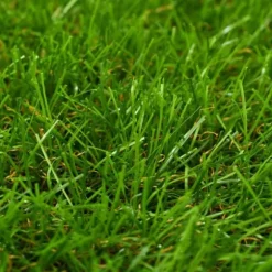 Konstgräsmatta 1x5 m/30 mm grön