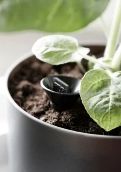 Kruka m långtidsbevattn. ø 20 cm Svart Paulina