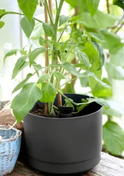 Kruka m långtidsbevattn. ø 20 cm Svart Paulina