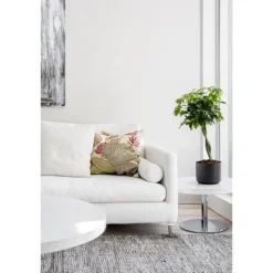 Kruka m långtidsbevattn. ø 20 cm Svart Paulina