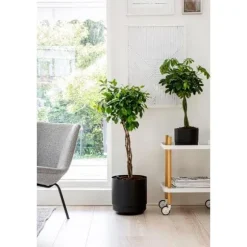 Kruka m långtidsbevattn. ø 20 cm Svart Paulina