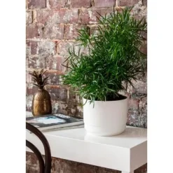 Kruka m långtidsbevattn. ø 25cm Vit Paulina