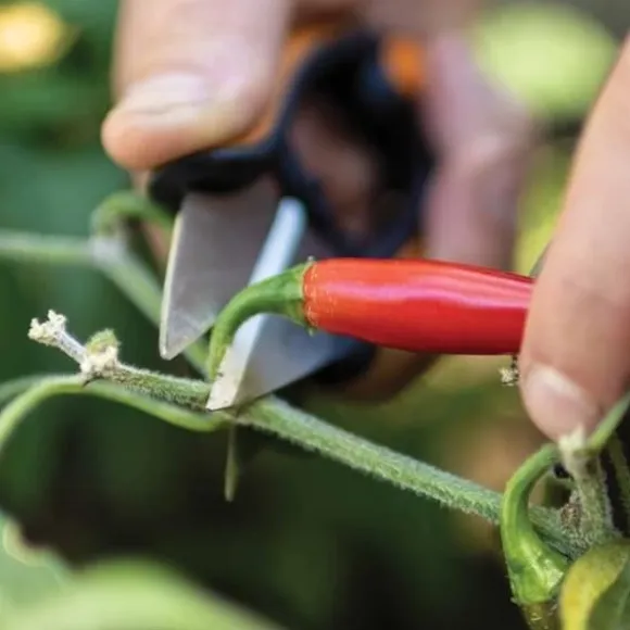 Kryddväxtsax Solid™ SP220 - FISKARS - Klipp - Rostfritt stål