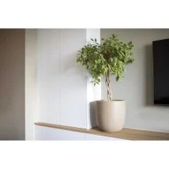 Kulblomkruka - CAPI EUROPE - WASTE SMOOTH NL - 35 x 34 cm - Terrazzo beige