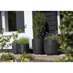 Kulblomkruka - CAPI EUROPE - RIB NL - 43 x 41 cm - Svart