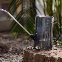 1L vattenkanna PP Helt genomskinlig inomhusväxter Vattenkanna med lång pip för trädgård Stjärngrå