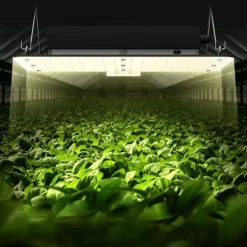 LED Växtlampa, 150W Full Spektrum Dimbar, Högavkastande Samsung 2B1B Dioder för inomhusodling, Fröplantor och Blomning.