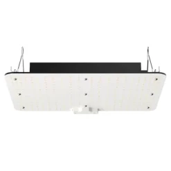 LED Växtlampa, 150W Full Spektrum Dimbar, Högavkastande Samsung 2B1B Dioder för inomhusodling, Fröplantor och Blomning.