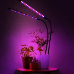 LED-växtlampa 40 dioder TIMER 15 W för hemmaodling utan nätadapter