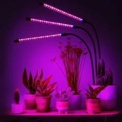 LED-växtlampa 60 dioder TIMER 24 W för hemmaodling utan nätadapter