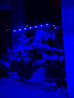 LED-växtlampa 20 dioder TIMER 9 W för hemmaodling utan nätadapter