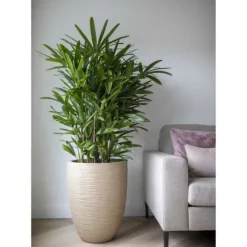 Låg elegant vas - CAPI EUROPE - WASTE RIB NL - 46 x 58 cm - Terrazzo beige