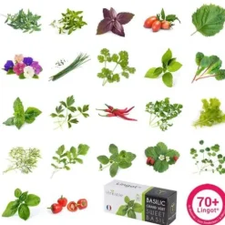 Lingot® ORGANISK Cayennepeppar - RIKTIGT - Klar att använda påfyllning - Classic, SMART, Connect, Exky®