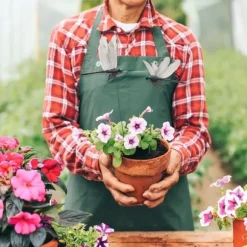 Lollanda 20 st 3D trollslända trädgårdsdekor i svart,trollsländor trädgårdsprydnader för trädgård, krukor, växter, uteplats, dekoration