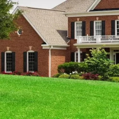 Lollanda Konstgräsmatta utomhus 0,5x2 m – 15 mm tjock, genomsläpplig gräsmatta för balkong, trädgård och uteplats, grön konstgräsmatta