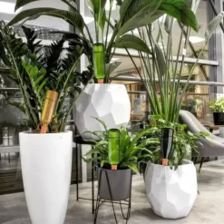 Lollanda Set med 12 Lerkoner Vattningskottar, Plant Vatten Dispenser Lera